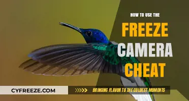 Mastering the Freeze Camera Cheat: Tips and Tricks for Gamers