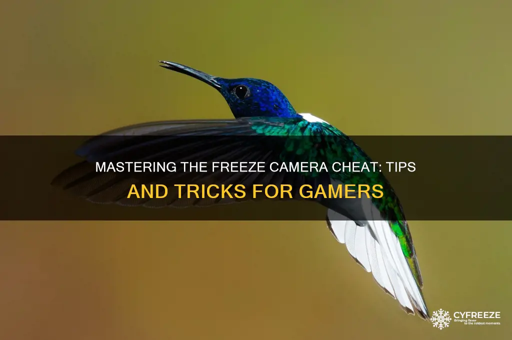 how to use the freeze camera cheat