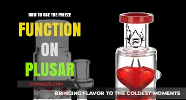 Mastering the Freeze Function on Plusar: A Step-by-Step Guide