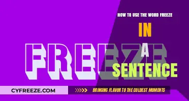 Mastering the Word 'Freeze': Creative Sentence Examples and Usage Tips