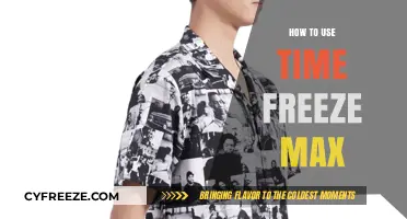 Mastering Time Freeze Max: Ultimate Guide to Effective Usage