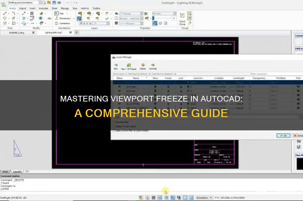 how to use viewport freeze autocad