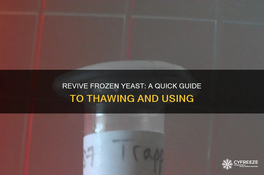 how to use yeast from freezer