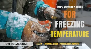 Winterize Your Plumbing: Essential Tips to Prevent Freezing Pipes