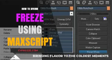 Mastering XForm Freeze in 3ds Max: A MaxScript Automation Guide