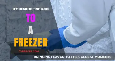 Mastering Freezer Storage: How to Safely Monitor and Maintain Temperature