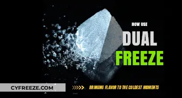 Mastering Dual Freeze: Effective Techniques for Optimal Results