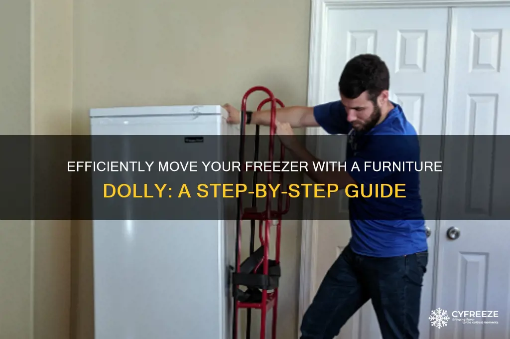 how use furniture dolly on freezer