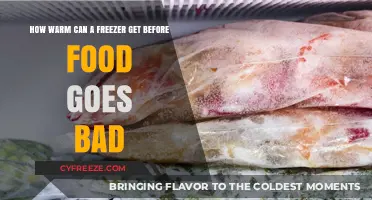 Freezer Temperature Limits: When Does Food Spoilage Begin?