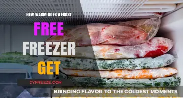 Understanding Frost-Free Freezer Temperatures: How Warm Do They Really Get?