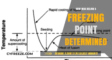 Unveiling Kelvin's Freezing Point: The Science Behind Its Determination