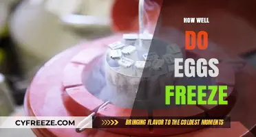 The Surprising Truth About Freezing Eggs: A Complete Guide