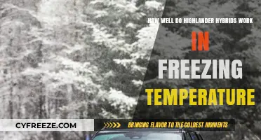 Highlander Hybrid Performance in Freezing Temps: Reliability and Efficiency Explored