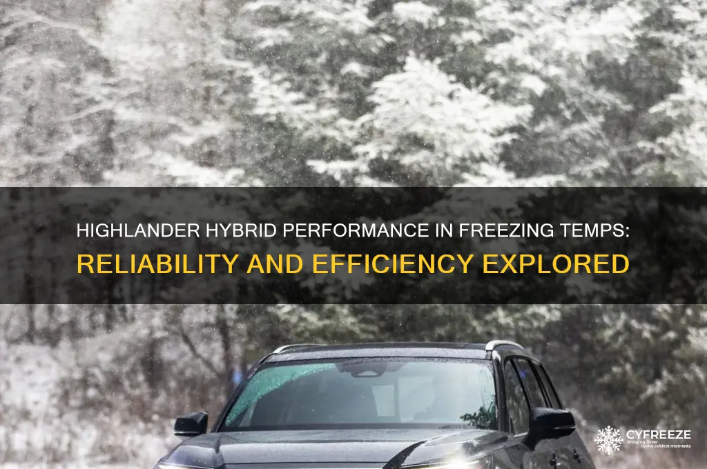 how well do highlander hybrids work in freezing temperatures