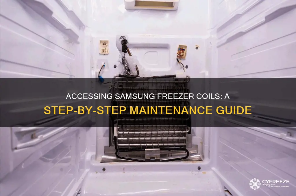 how yo get to samsung freezer coils