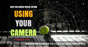 Mastering Freeze-Frame Photography: Techniques to Capture Crisp Action Shots