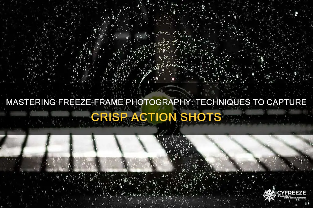 how you would freeze action using your camera