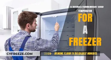 Is -5°F the Ideal Freezer Temperature for Food Preservation?