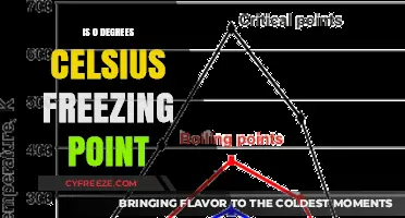 Is 0 Degrees Celsius the Universal Freezing Point of Water?