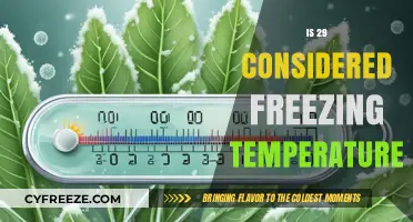 Is 29 Degrees Freezing? Understanding Temperature Thresholds