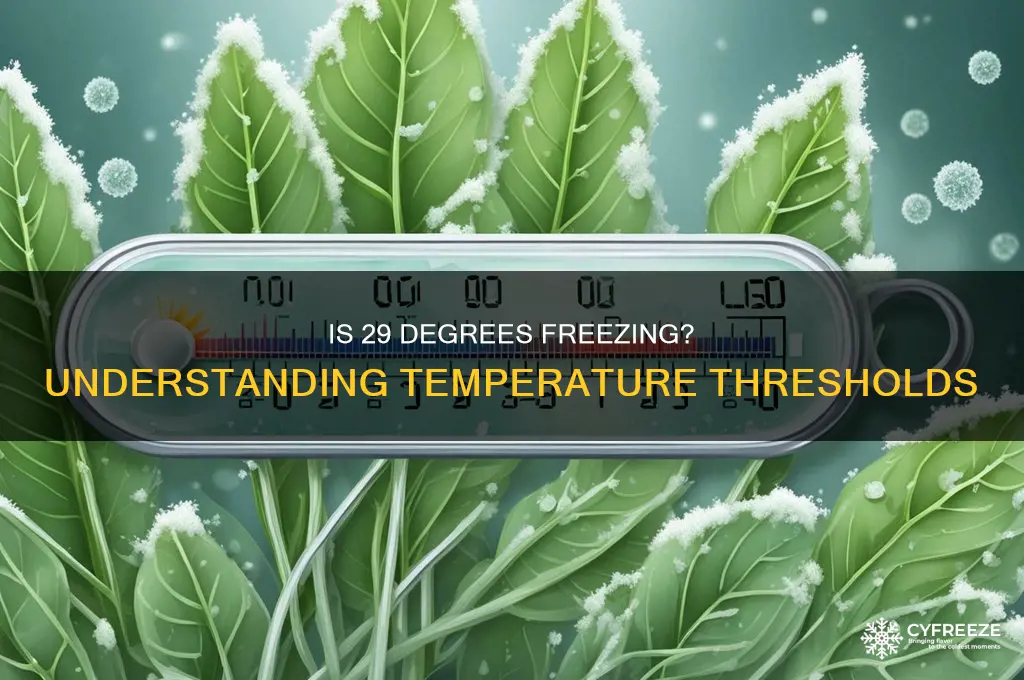 is 29 considered freezing temperature