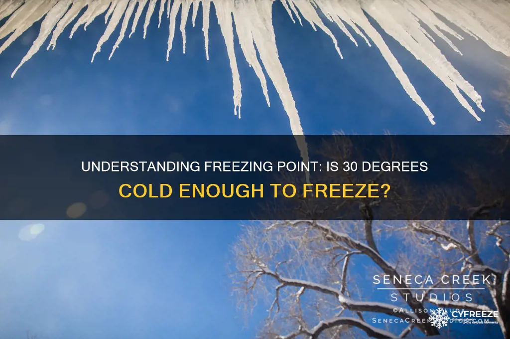 is 30 degrees freezing point