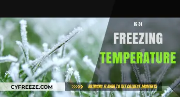 Is 31 Degrees Freezing? Understanding Temperature Thresholds and Impacts