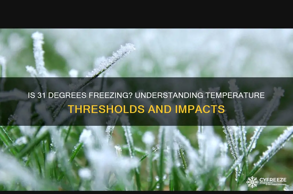 is 31 freezing temperature