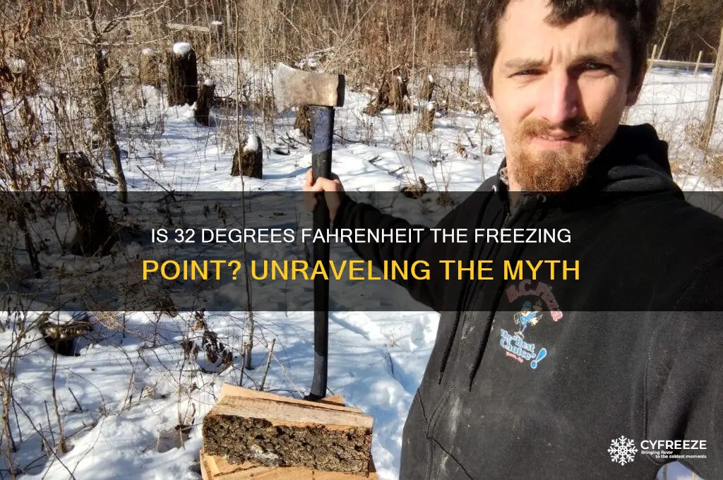 is 32 degrees freezing point