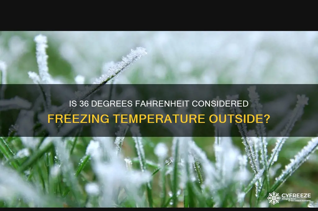 is 36 freezing temperature outside