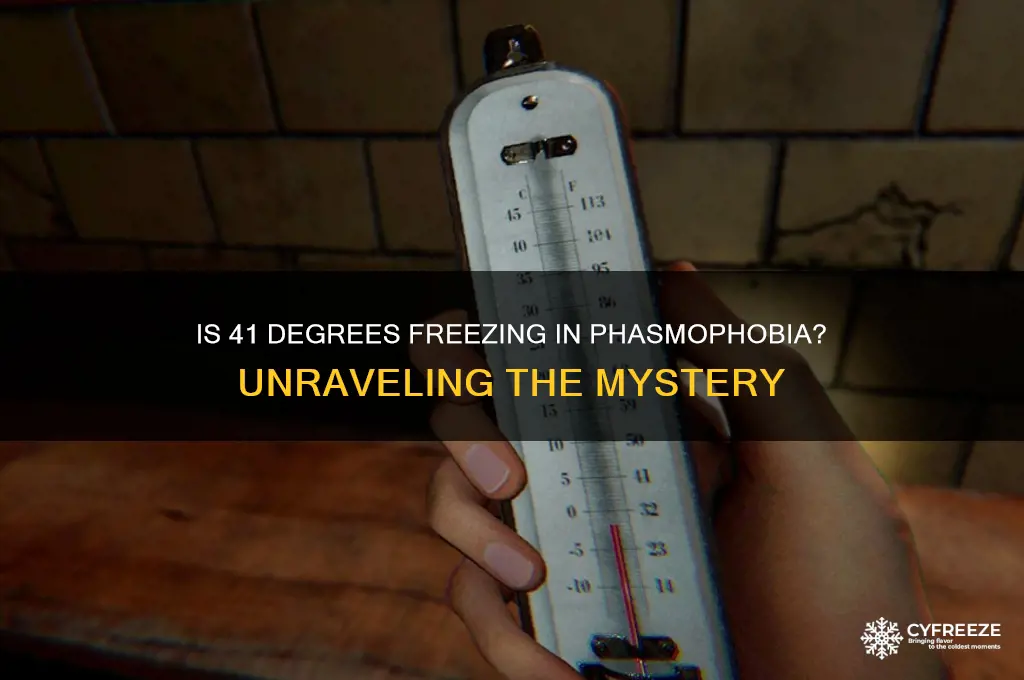 is 41 degrees freezing temperature in phasmophobia