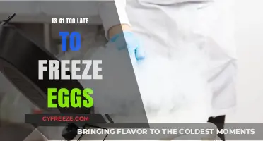 Egg Freezing at 41: Is It Too Late to Preserve Fertility?