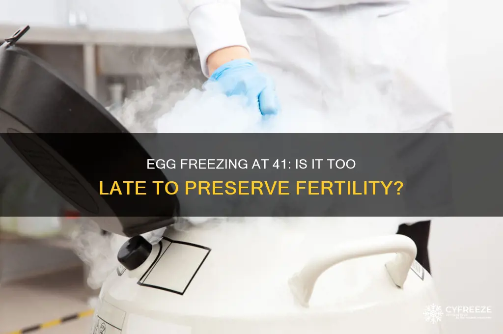 is 41 too late to freeze eggs