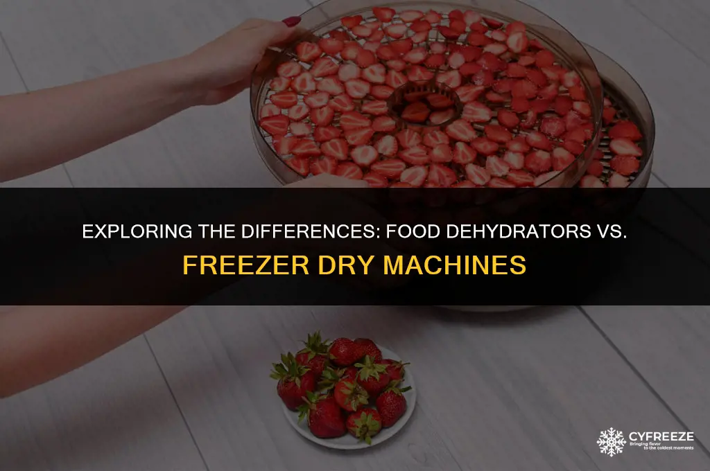 is a food dehydrator considered a freezer dry machine