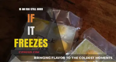 Frozen Eggs: Are They Still Safe to Eat After Thawing?