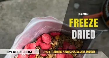 Exploring the Truth: Is Your Favorite Cereal Freeze-Dried?