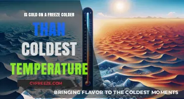 Is Cold on a Freeze Colder Than Absolute Zero? Exploring Temperature Extremes