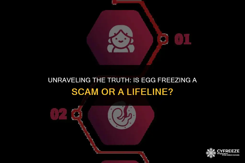 is egg freezing a scam