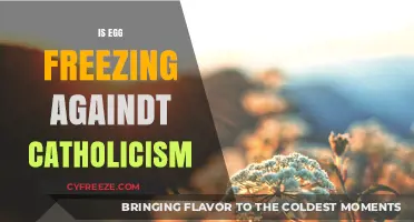 Exploring the Intersection of Faith and Fertility: Is Egg Freezing Against Catholicism?