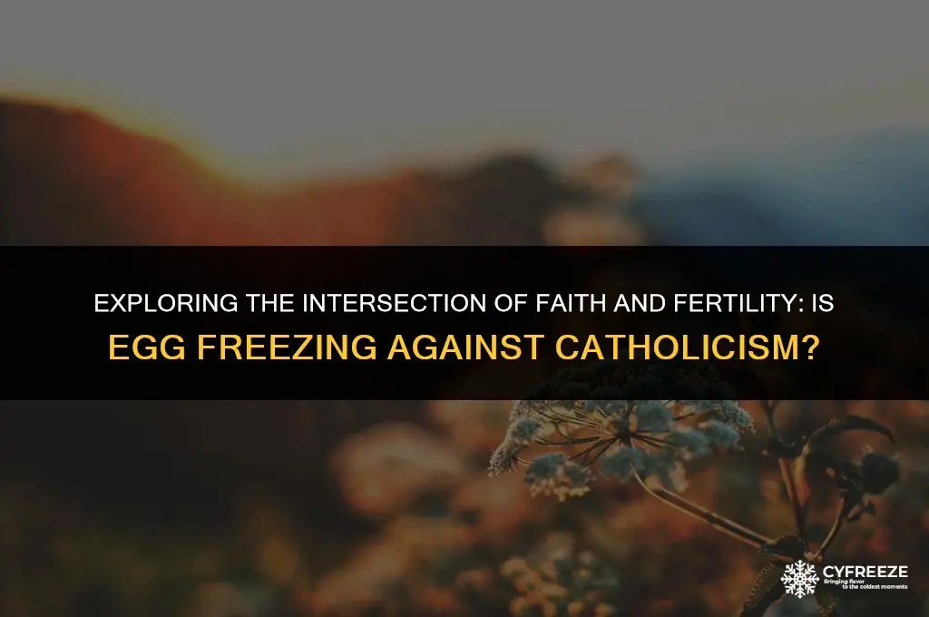 is egg freezing againdt catholicism