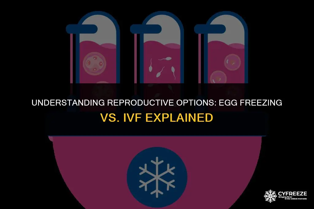 is egg freezing and ivf the same