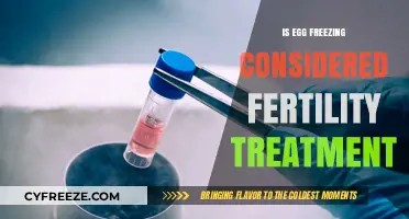 Exploring Egg Freezing: A Modern Fertility Treatment Option