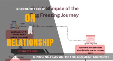 Considering Egg Freezing: A Personal Choice, Not a Relationship Verdict