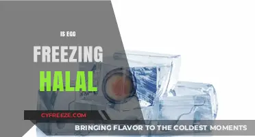 Exploring the Ethical and Religious Dimensions of Egg Freezing in Islam