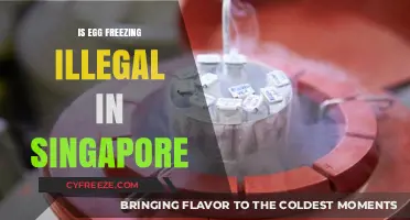 Egg Freezing in Singapore: Legalities and Considerations