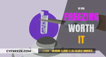 Egg Freezing: Weighing the Costs, Benefits, and Personal Value