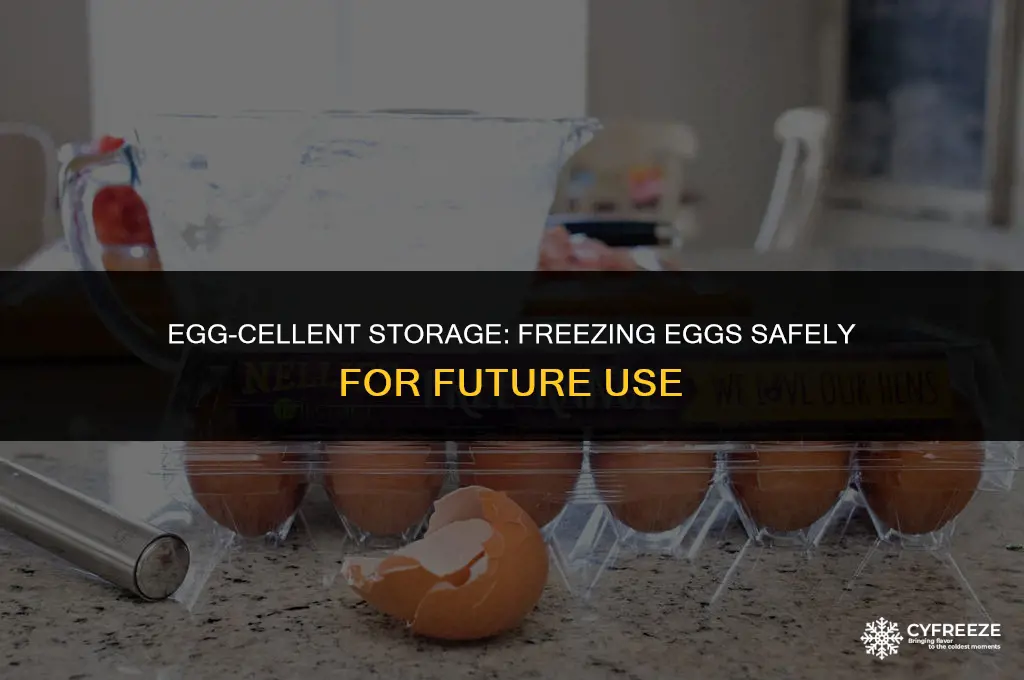 is egg okay in the freezer
