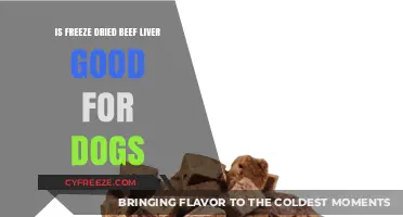 Is Freeze-Dried Beef Liver a Healthy Treat for Dogs?
