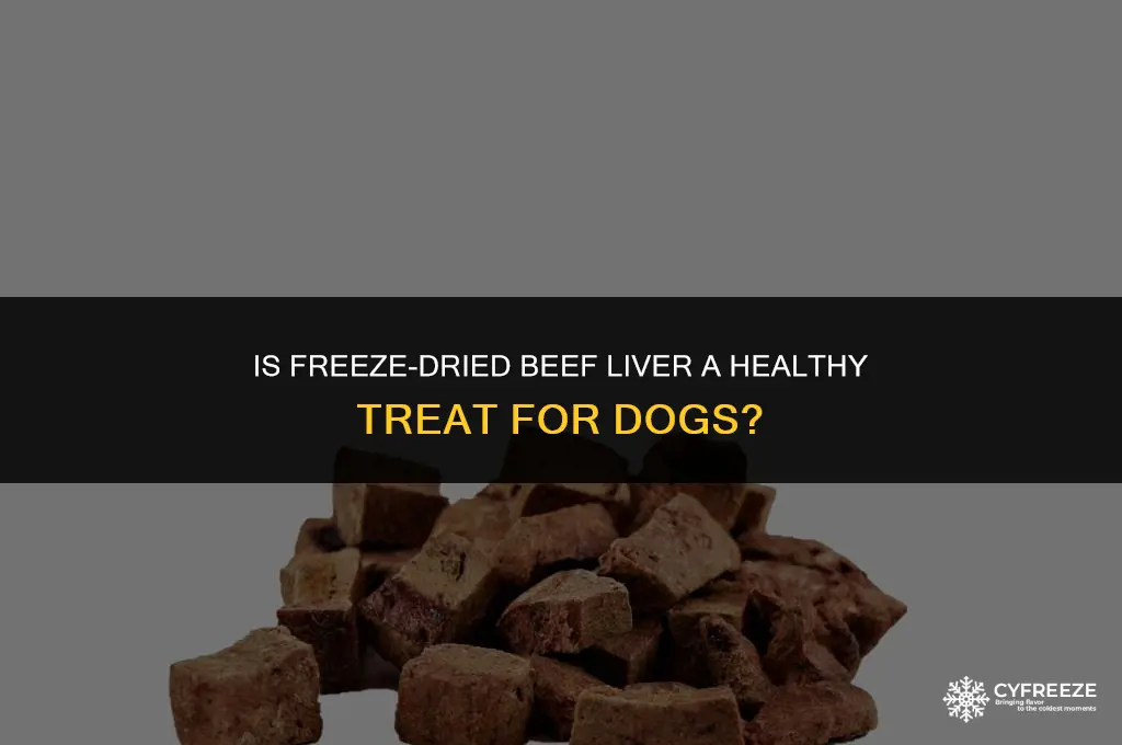 is freeze dried beef liver good for dogs