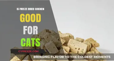 Exploring the Benefits of Freeze-Dried Chicken for Feline Health